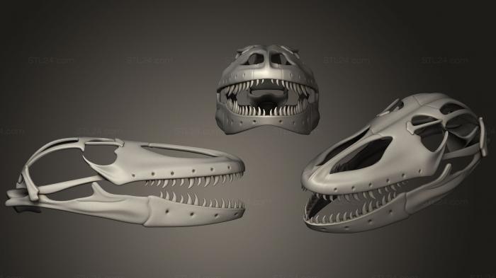 Anatomy of skeletons and skulls (Komodo Dragon Skull, ANTM_0754) 3D models for cnc